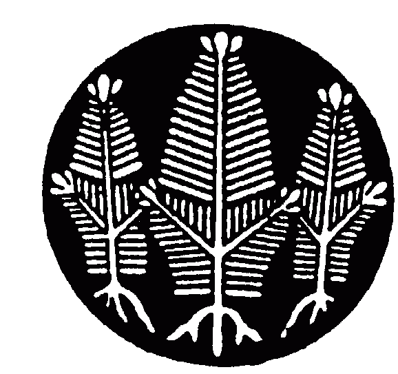 Maine Tree Crop Alliance