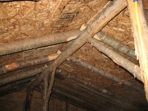 Barn One rafters flattened.