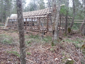 Purlins on North side.