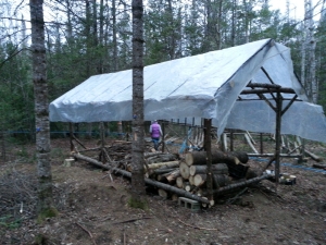 Woodshed completed.