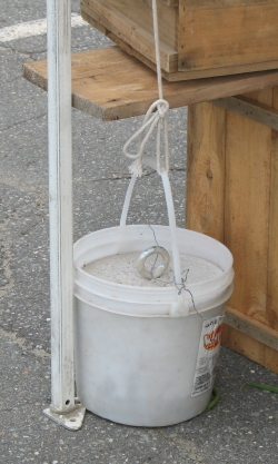 orono tent